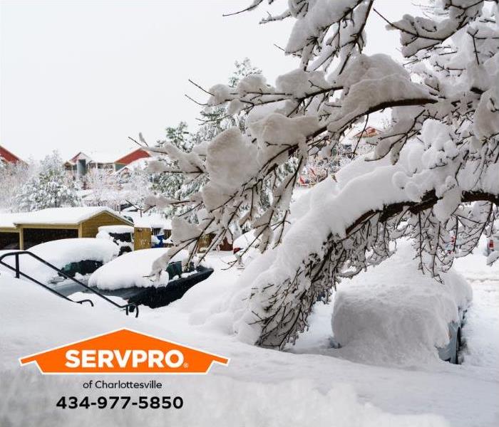 Heavy snow covers trees and cars in a parking lot.