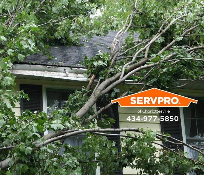 A tree lands on the house during a storm.
